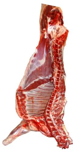 Helt Lamm - Svenskt Kött