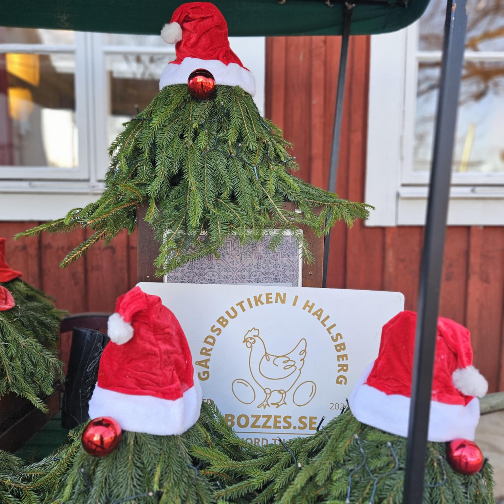 Jul Tomte med ljus slinga